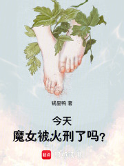 今天魔女被火刑了吗？