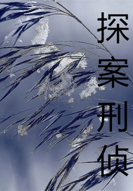 探案刑侦