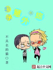 海贼意外之旅