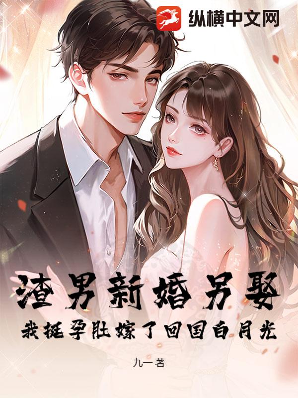 渣男新婚另娶，我挺孕肚嫁了回国白月光