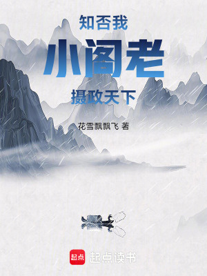 知否：我，小阁老，摄政天下